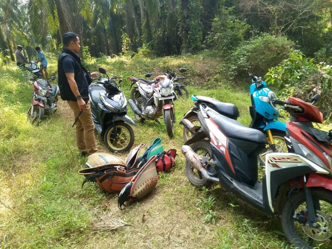 Arena Judi Sabung Ayam di Katibung Digerebek Polisi
