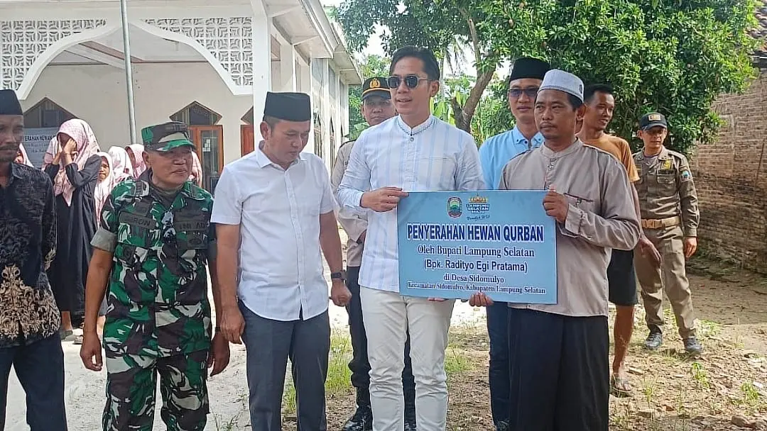 Bupati Lamsel Serahkan Bantuan Sapi Qurban di Kecamatan Sidomulyo