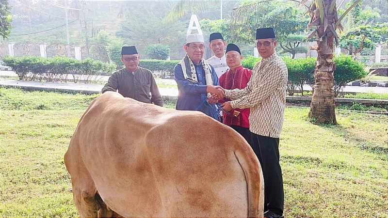 Hari Raya Idul Adha 2024, Pemkab Lampung Selatan Kurban 39 Ekor Sapi