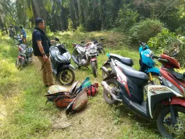 Arena Judi Sabung Ayam di Katibung Digerebek Polisi