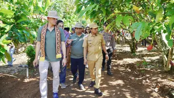 Program Cocoa Life, Mondelez International dan OFI Launching Kebun Percontohan CASDI di Kabupaten Pringsewu